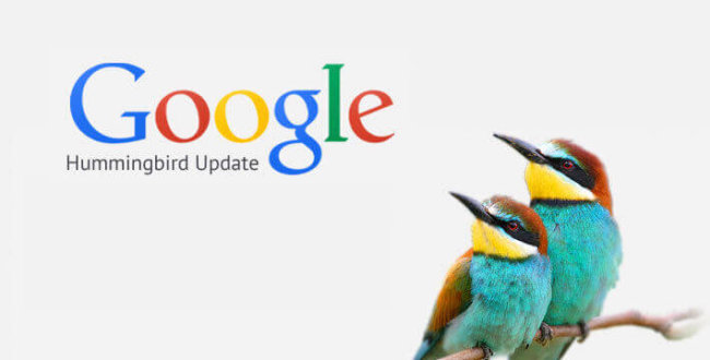 portada-post-hummingbirdseactualiza