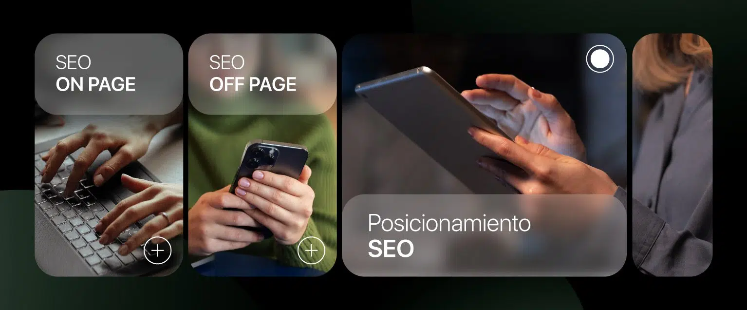 SEO on page y SEO off page SEO on page y SEO off page